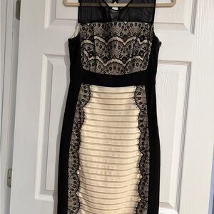 Jax Black and Cream Lace-Panel Midi Sheath Dress, size 6
